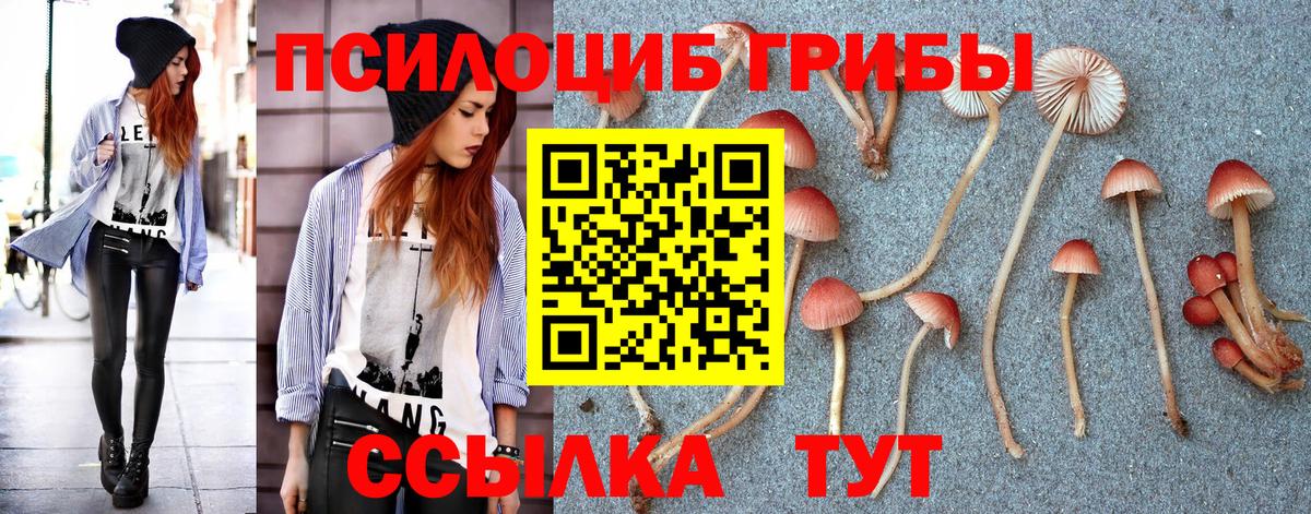 Псилоцибиновые грибы GOLDEN TEACHER Светлоград