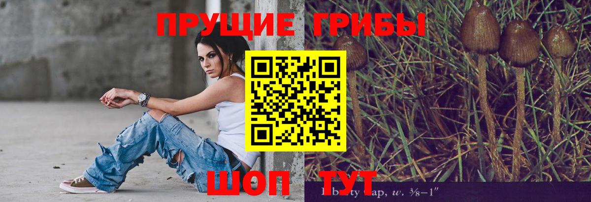 Светлоград  Галлюциногенные грибы Cubensis  Вход с VPN 